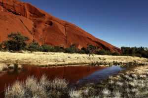Uluru Reflection After Rain 